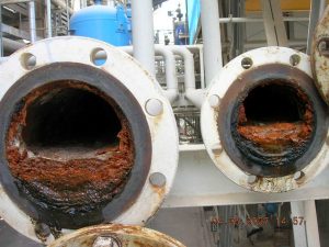 Biofouling sin Merus